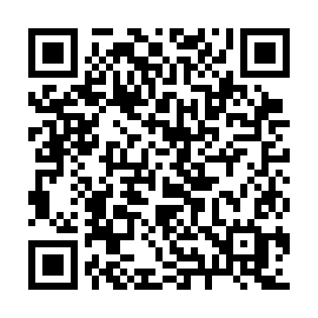 QR code for 291CKG