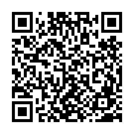 QR code for 291DFV