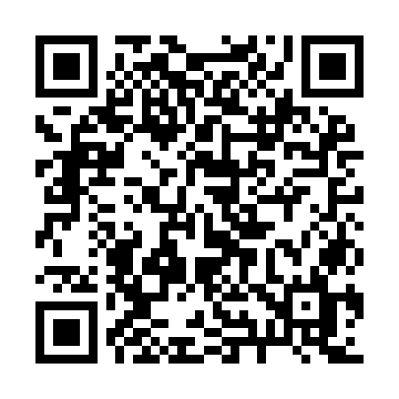 QR code for 291IOL