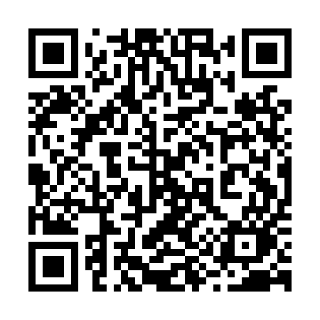 QR code for 291LUO