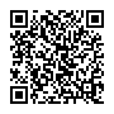 QR code for 291MAO