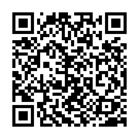 QR code for 291MCY