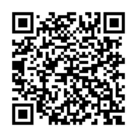 QR code for 291MIN