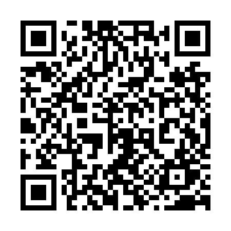 QR code for 291NZT
