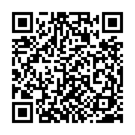 QR code for 291OFI