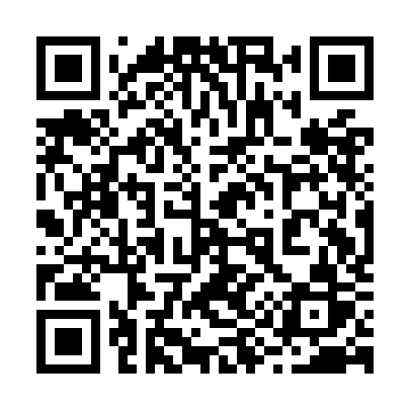 QR code for 291OKR
