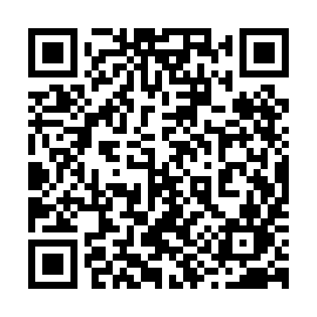 QR code for 291PIN