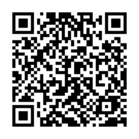 QR code for 291QKE