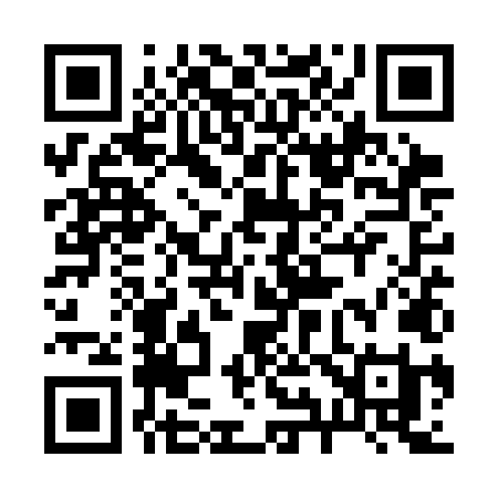 QR code for 291SLI
