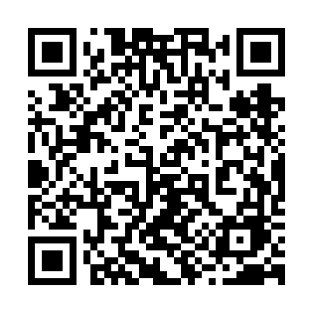 QR code for 291VFE