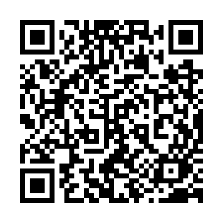 QR code for 291WUO