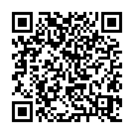 QR code for 291XLS