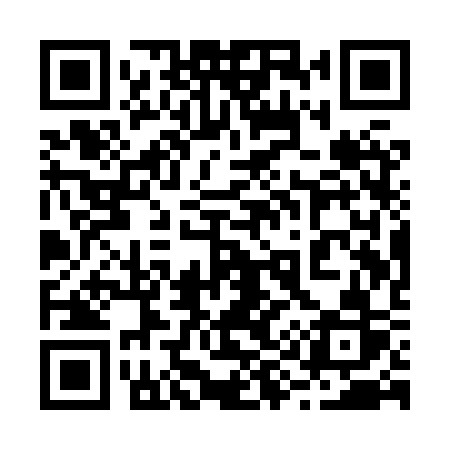 QR code for 291XSR