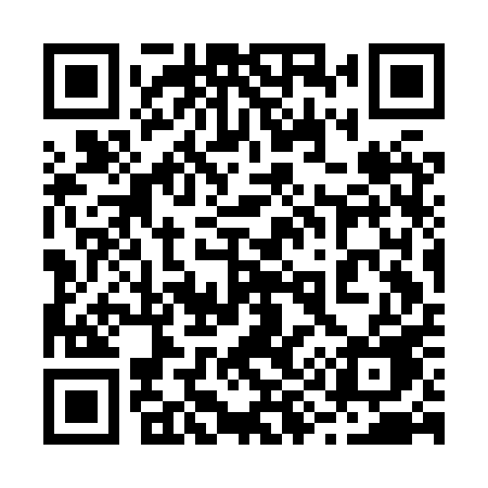 QR code for 293HPE
