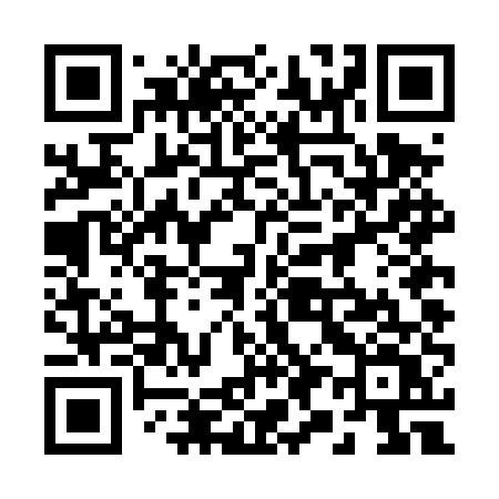 QR code for 294DUV