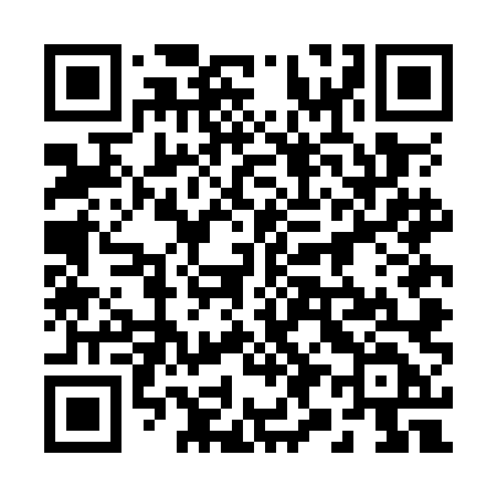 QR code for 294OLD