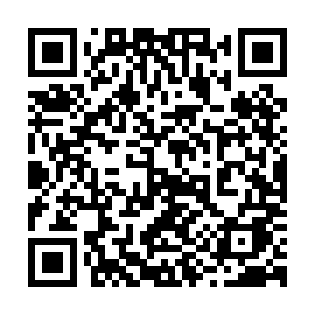 QR code for 294PMA