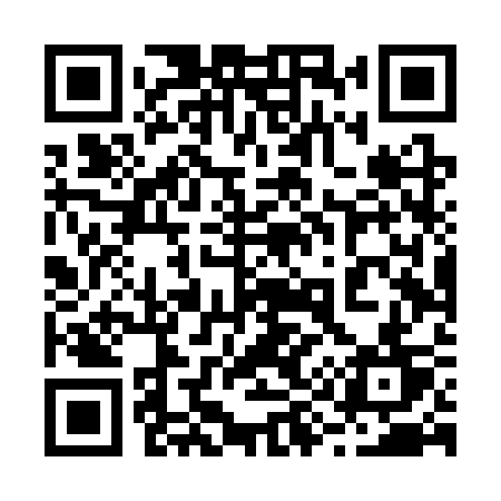 QR code for 294SST