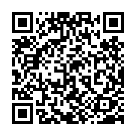 QR code for 294TEX
