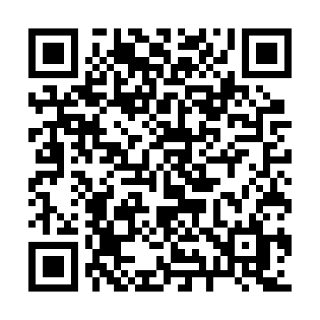 QR code for 295BSL