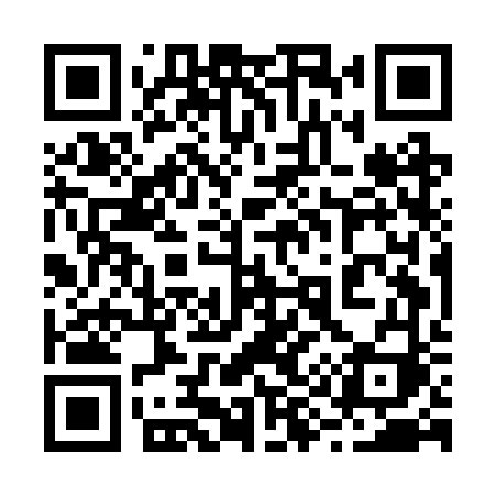 QR code for 295BVI