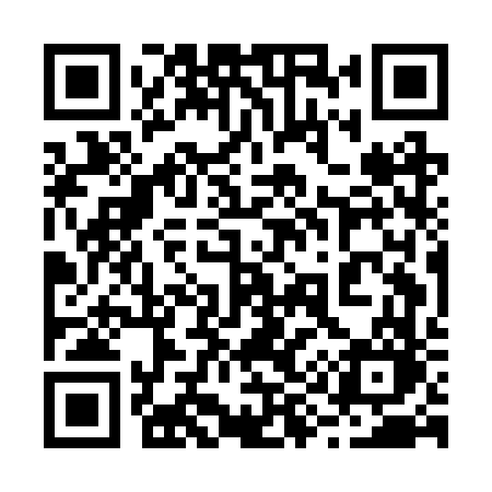 QR code for 295BVO