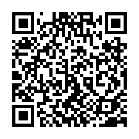 QR code for 295CAI