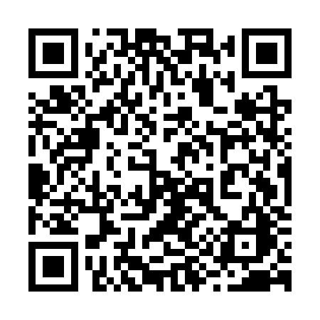 QR code for 295CZC