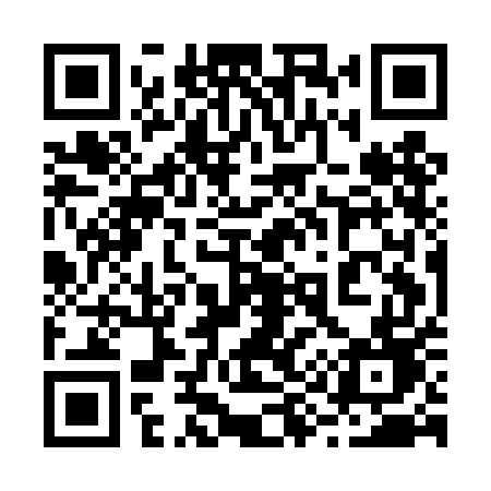 QR code for 295DED