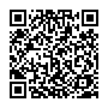QR code for 295DSE