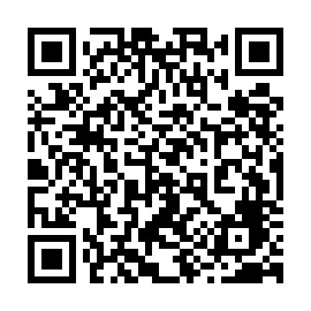 QR code for 295ENF