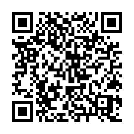 QR code for 295ENP