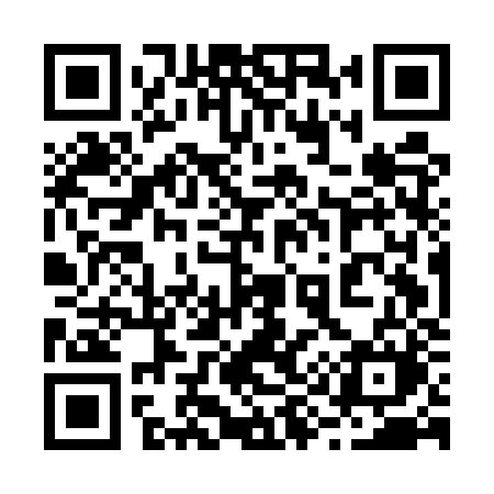 QR code for 295EZM