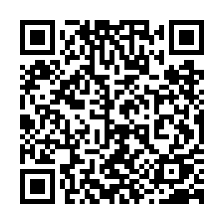 QR code for 295GAU
