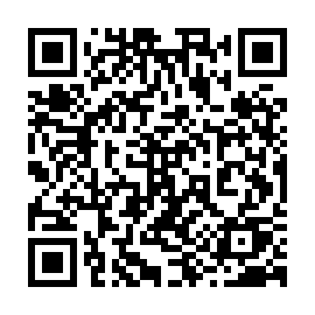 QR code for 295HSU