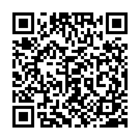 QR code for 295HUS