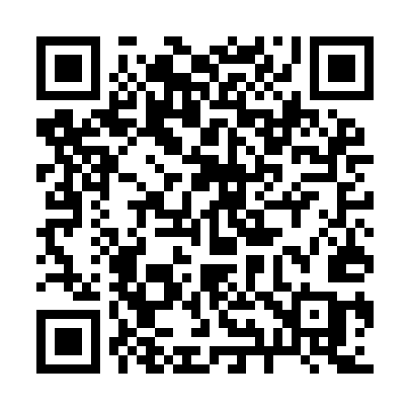 QR code for 295IEC