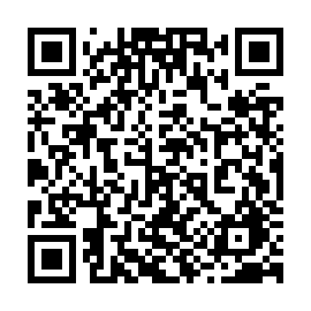 QR code for 295JZG