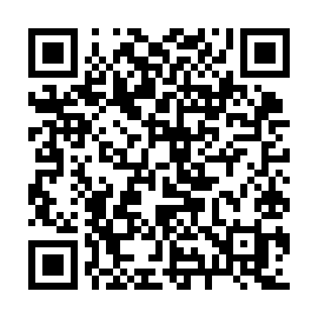 QR code for 295KII
