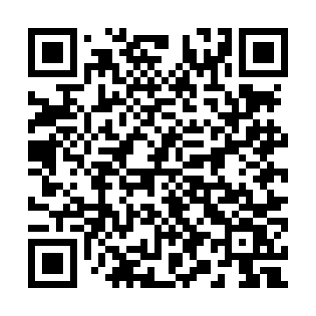 QR code for 295LNV