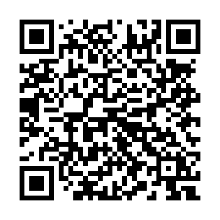 QR code for 295LRX