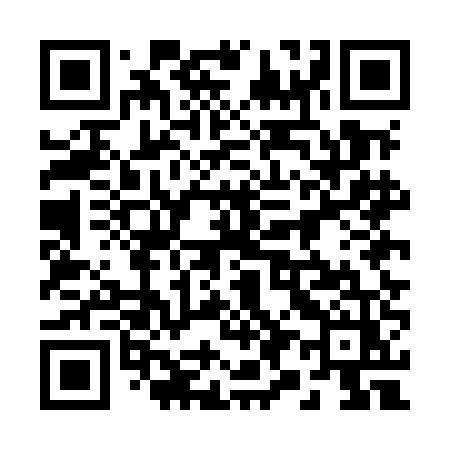QR code for 295MEZ