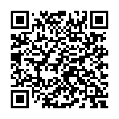 QR code for 295MJD