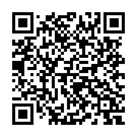 QR code for 295MPV