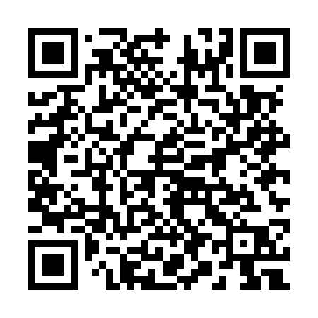 QR code for 295MSP
