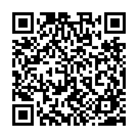 QR code for 295NIG