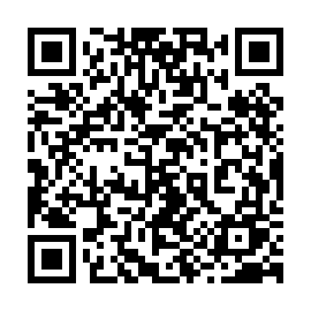 QR code for 295PFU