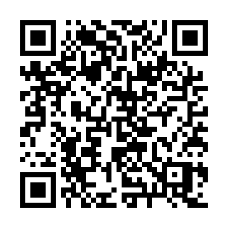 QR code for 295QCP