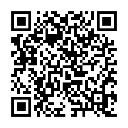QR code for 295QFJ