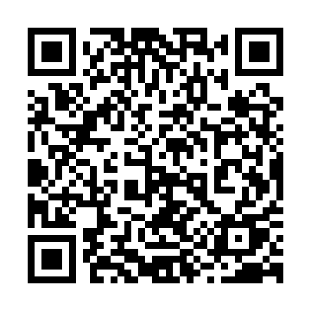 QR code for 295QQU